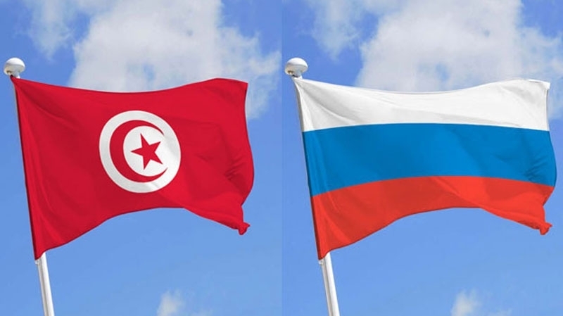 مكالمة هاتفية بين وزير الخارجية ونظيره الروسي: التوقيت والدلالات..