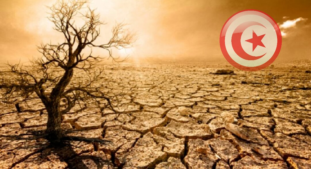 تونس تستعد للإعلان رسميا عن حالة الجفاف