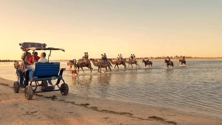 توقعات بموسم واعد .. هل تٌعدّل السياحة الكفة؟