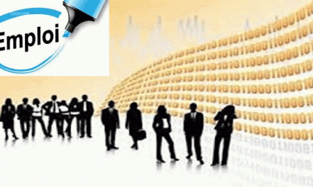  رغم عودة قطاعات للنشاط وتطور الاستثمارات  .. "التشغيل" بين "العرضي" والوضعيات "الهشة"