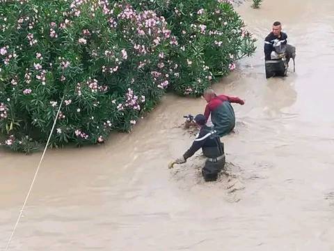   جندوبة.. إنقاذ قطيع من الأغنام حاصرتهم مياه وادي مجردة