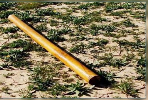 حفوز.. قتل كهلا والقى بجثته أمام المستشفى