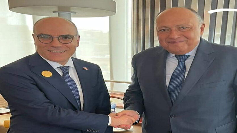 وزير الخارجية يلتقي نظيره المصري