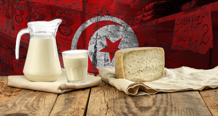 عضو المكتب التنفيذي لاتحاد الفلاحة لـ "الصباح":  عودة أزمة الحليب في أوت ونطالب بزيادة في الأسعار بـ500 مليم..