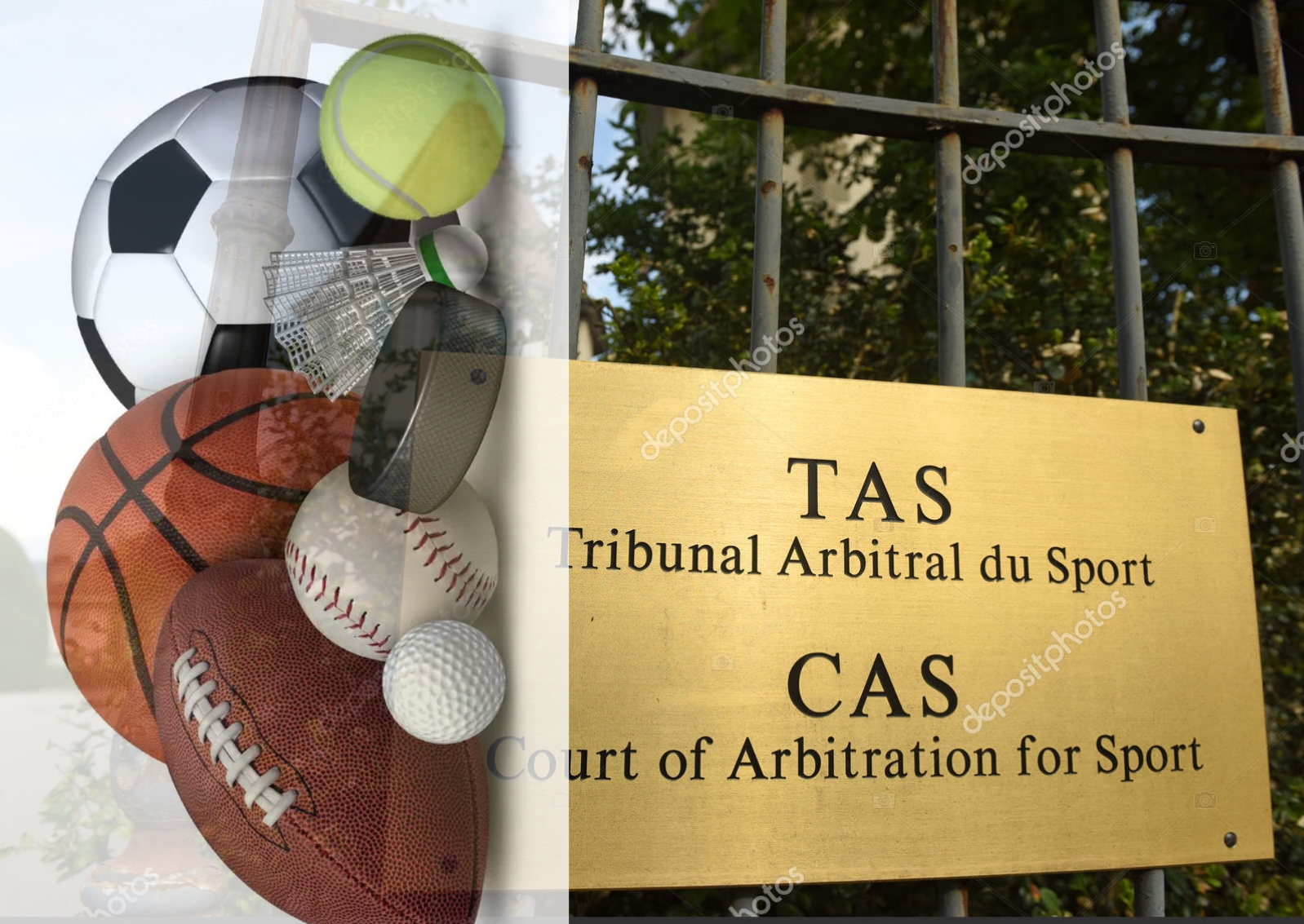 تراجع الثقة في الهياكل الرياضية.. من المسؤول عنها؟ | أهل الاختصاص يقيمون الوضع.. يتهمون ويقترحون