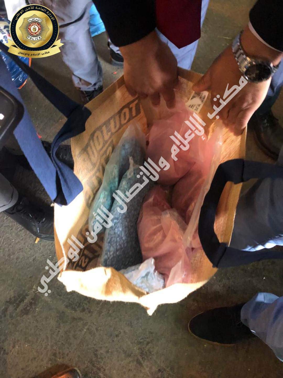 ميناء حلق الوادي.. احباط تهريب كمية من المخدرات 