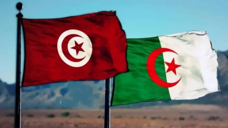 تونس-الجزائر  .. الدور الاستراتيجي للنفط من أجل استقرار البلدين