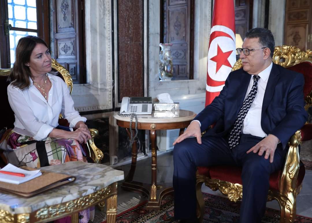 رئيسة مكتب مجلس أوروبا بتونس لبودربالة:  مرتاحون لاخراط تونس في المعاهدات الرامية لتعزيز حماية حقوق الانسان