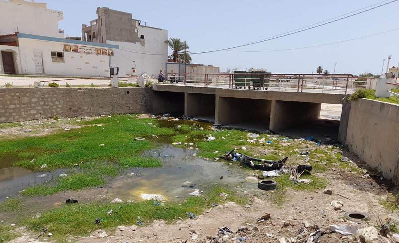 عديد المناطق تعاني من الحشرات وتكدس النفايات..  انهيار الوضع البيئي ينذر بكارثة