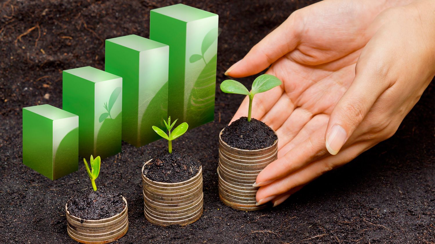 رئيس المنظمة التونسية لإرشاد المستهلك لـ"الصباح":  الاقتصاد الاجتماعي التضامني الحل في التخفيف من أعباء الدولة ومن وضع العائلات المعوزة