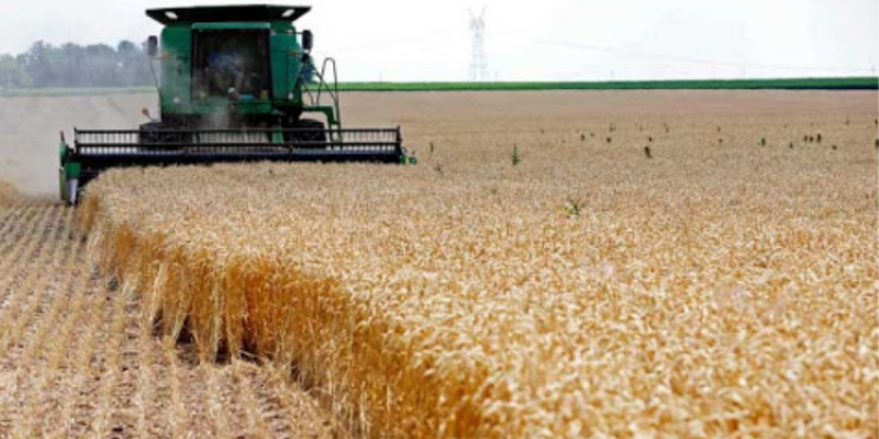 الأمم المتحدة تدعو العالم إلى الاستعداد لموجات من الحر..  هل آن الأوان لمنوال زراعي جديد؟