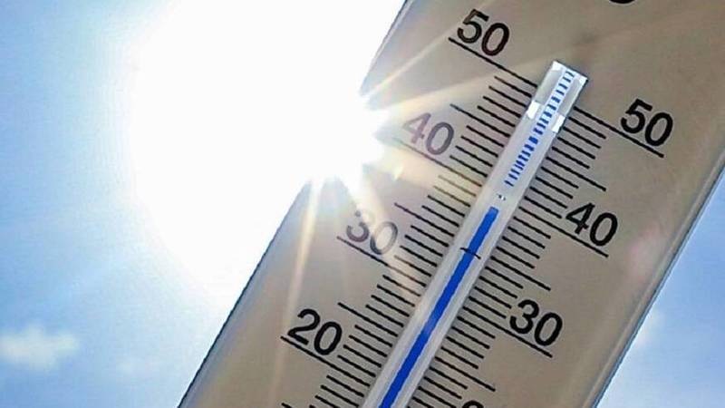 عالم الأحياء والبيئة البحرية عماد جريبي لـ"الصباح":  "ارتفاع خطير في درجات حرارة البحر يمكن أن يؤدي إلى انقراض أنواع هامة من الكائنات البحرية"