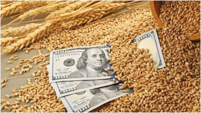 اثر انسحاب روسيا من مبادرة حبوب البحر الأسود..   ارتفاع جنوني لأسعار القمح.. وتأثيرات خطيرة على تونس