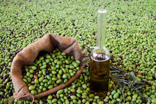 ارتفاع صادرات تونس من زيت الزيتون