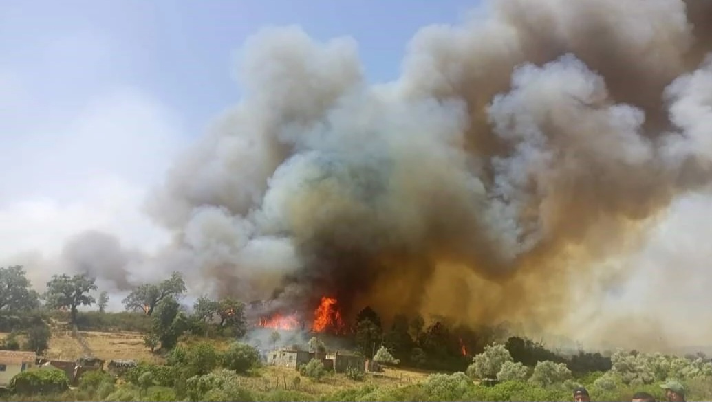 جندوبة / إسعاف اكثر من 150 متضررا من الحرائق.. وإجلاء أكثر من مائة آخرين