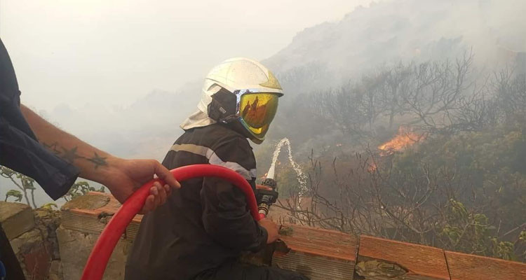 حرائق ملولة.. وادي الزان.. نفزة...  غابات الشمال الغربي تلتحف السواد..