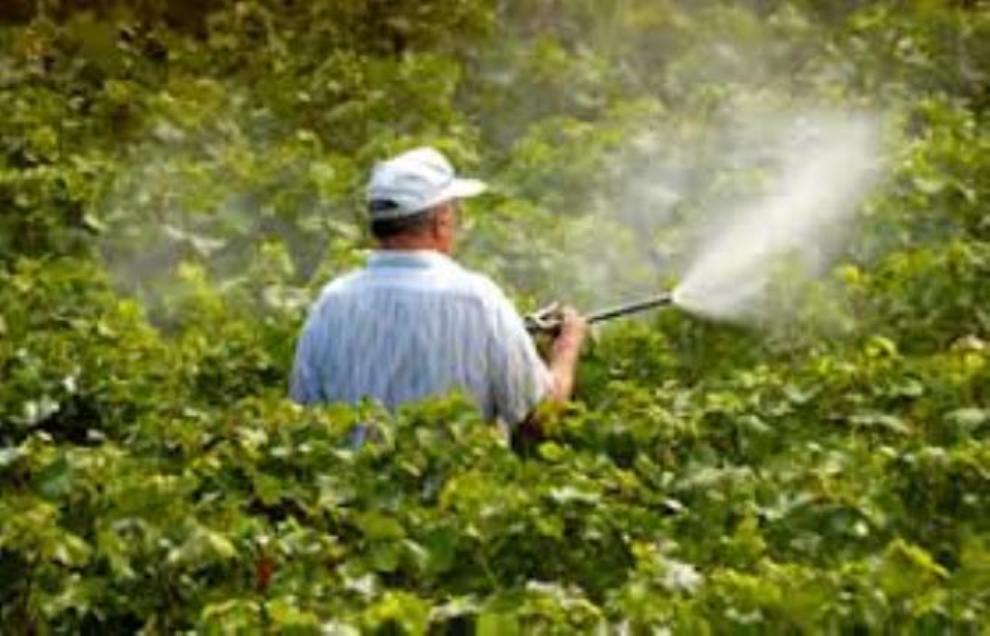 تونس تسحب 31 مبيدا ودواء لمقاومة الفطريات في القطاع الفلاحي من السوق في ظل تأكد مخاطرها الصحية
