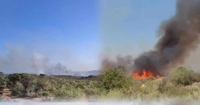 المدير الجهوي للحماية المدنية بنابل لـ"الصباح نيوز ": عمليات اطفاء حريق غابة البندق بني خيار متواصلة  