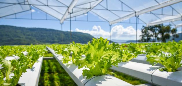 أصبحت مطلبا ملحّا..   استراتجيات زراعية جديدة لمجابهة خطر التغيرات المناخية