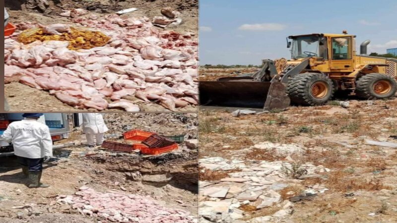 منارة الحمامات ..إتلاف كمية من لحوم الدواجن غير صالحة للاستهلاك