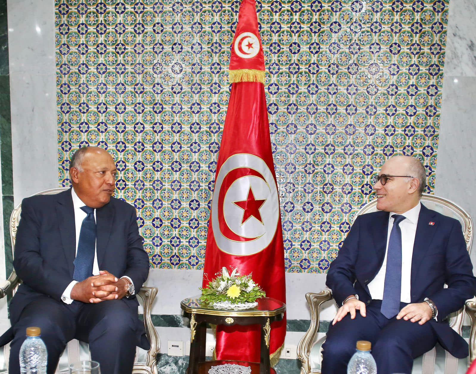 وزير الخارجية يستقبل نظيره المصري