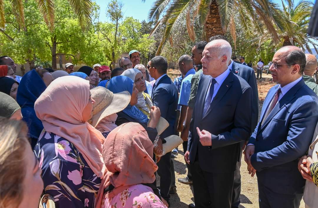 رئيس الجمهورية: هناك من يعمل داخل الإدارة على تعطيل  انشاء الشركات الأهلية لتجويع الشعب