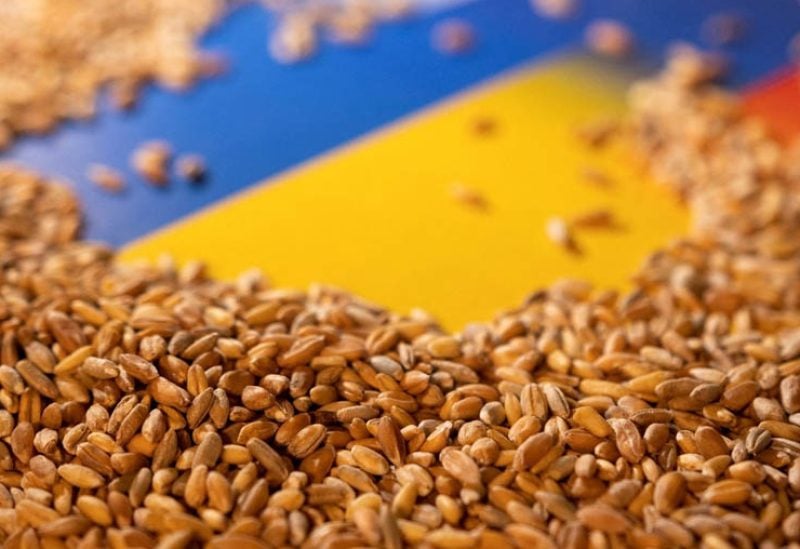 رغم الهجمات الروسية.. أوكرانيا تسعى لتصدير الحبوب عبر نهر الدانوب