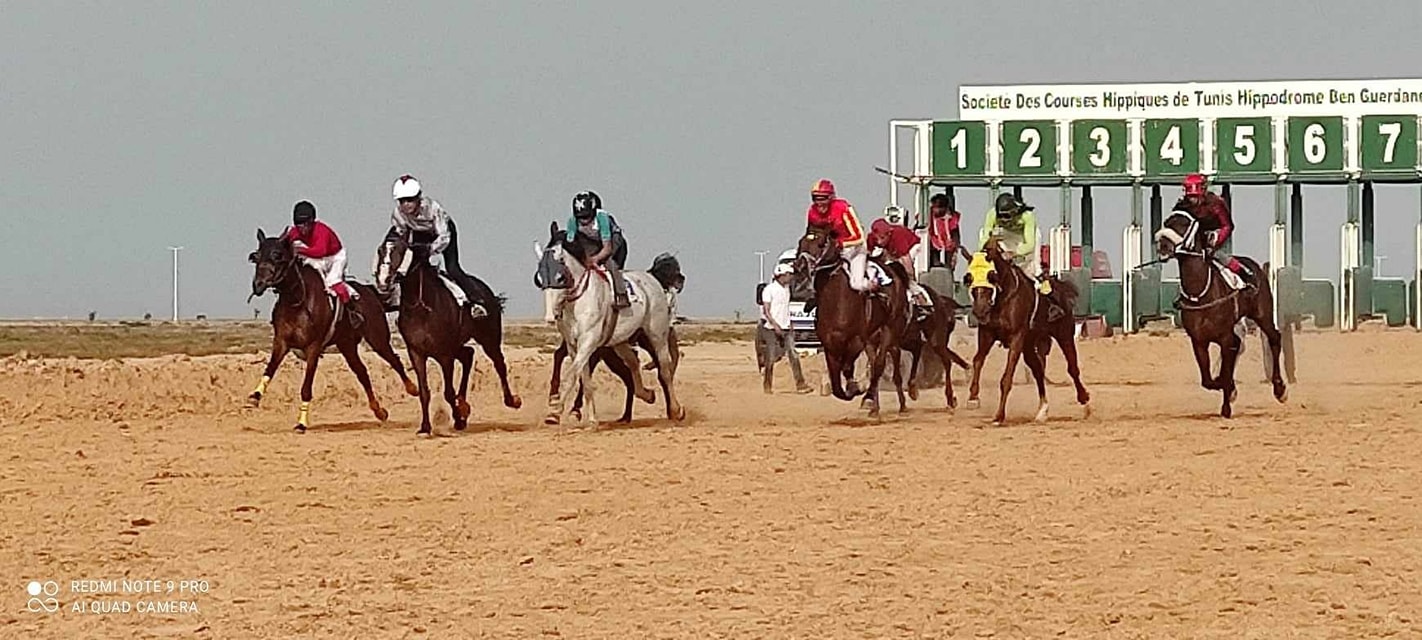 معرض للآلات الموسيقية وندوة علمية  في البرنامج..  جمعية علوم وتراث بالقلعة الكبرى تنظم تظاهرة:  "علومنا في تراثنا"