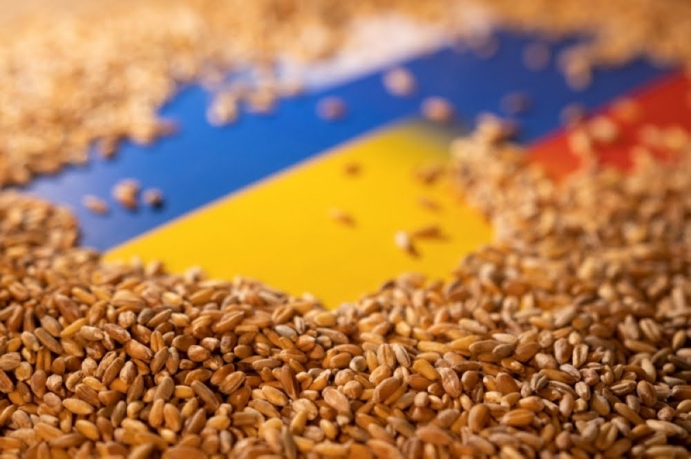 أوكرانيا تتقدم بشكوى ضد حظر 3 دول أوروبية لواردات الحبوب   