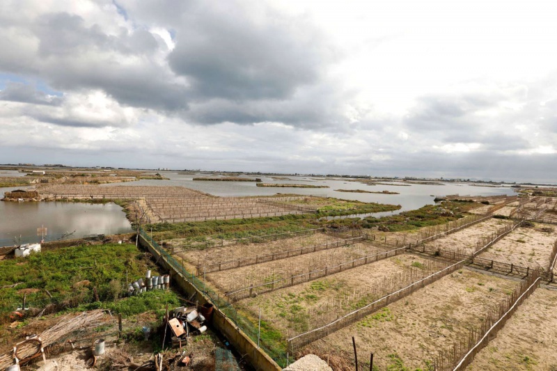 تعتبر من البلدان الأكثر هشاشة وتضررا..   كيف ستواجه تونس آثار التغيرات المناخية؟