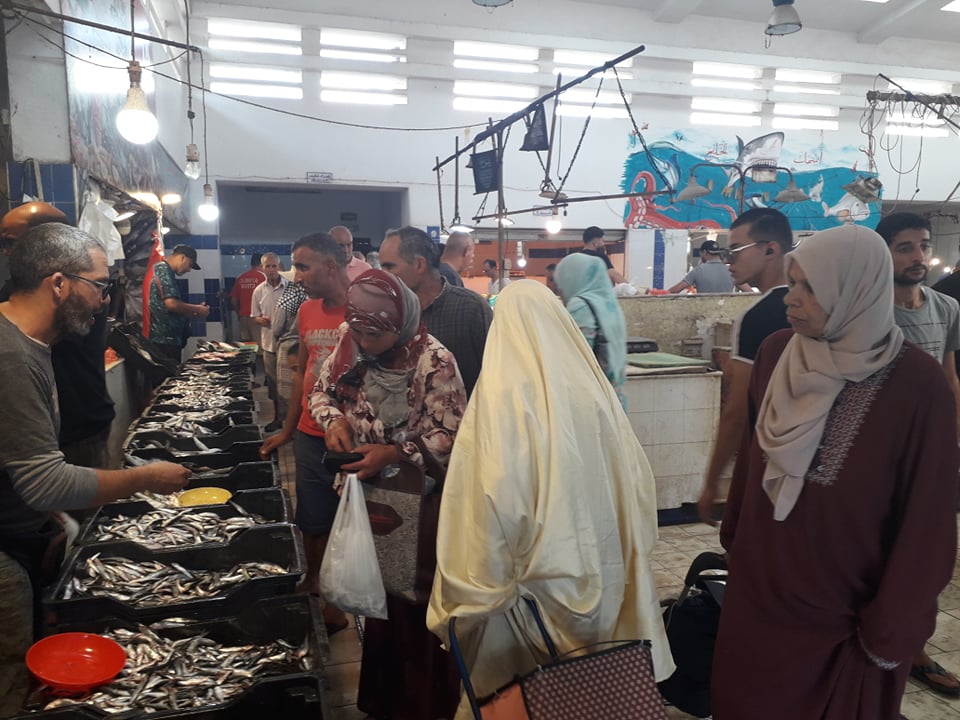بالفيديو.. باعة بسوق السمك بنابل يطلقون صيحة فزع 
