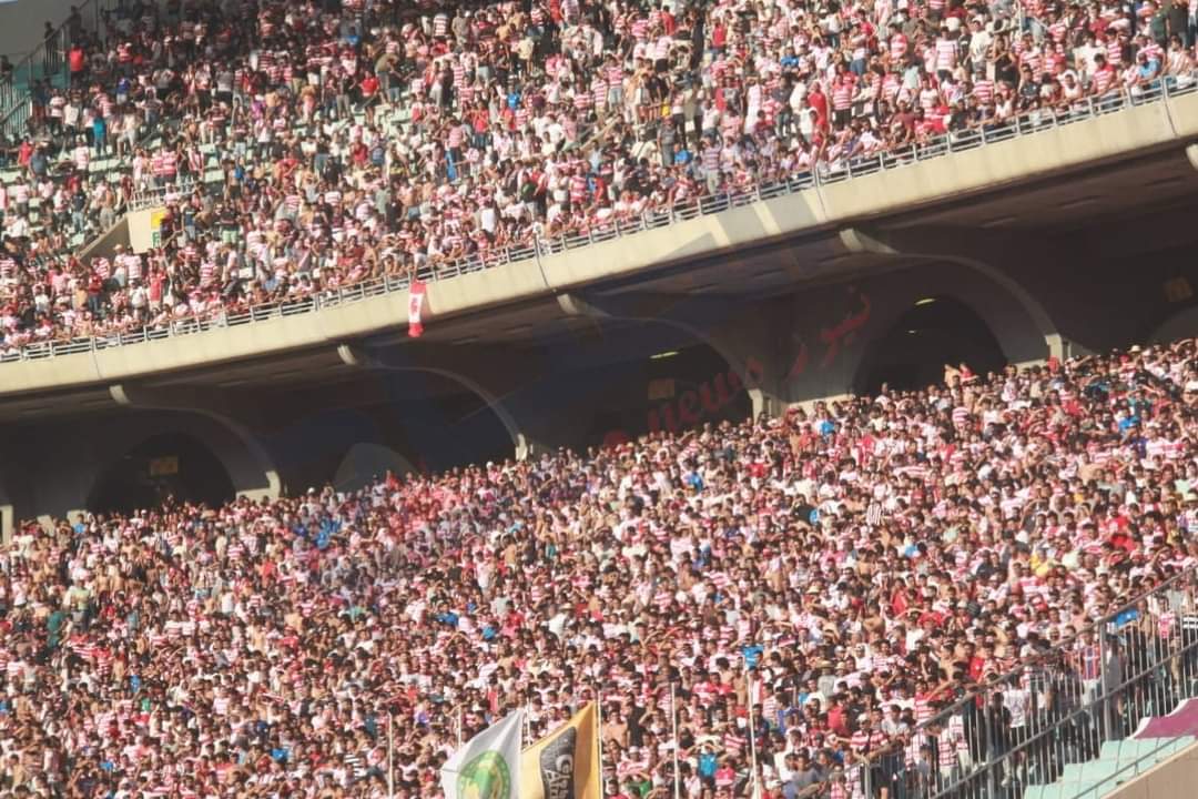 هيئة الافريقي لجماهيرها: "نحبكم يا شعب لأنكم استثناء جميل "