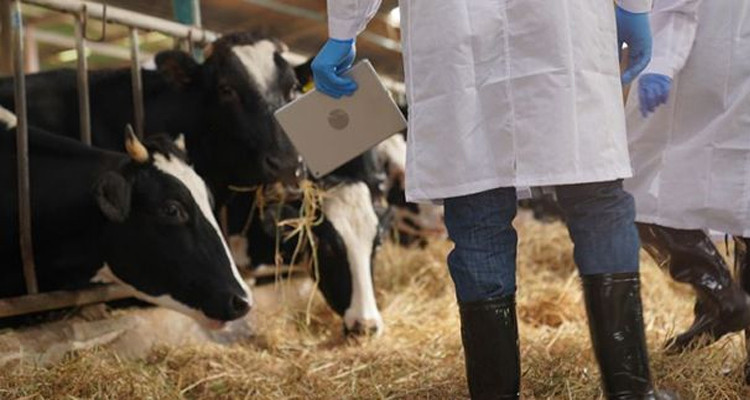 نقابية الأطباء البياطرة بتونس تقرر مقاطعة التوكيل الصحي لسنة 2024