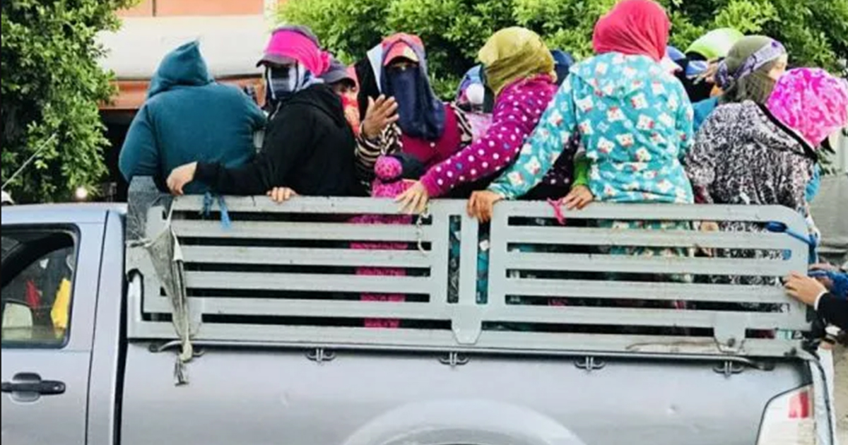 مأساة نقلهن تتواصل.. "طريق اللاعودة"على موعد مرة أخرى مع العاملات الفلاحيات.. والحصيلة قتيلة و8 مصابات
