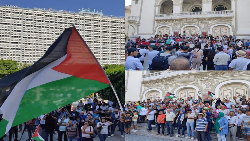  العاصمة.. وقفة مُساندة للمقاومة والشعب الفلسطيني