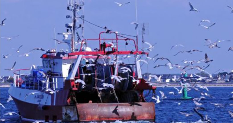 قانون المالية 2024/ تعزيز موارد صندوق تمويل الراحة البيولوجية في قطاع الصيد البحري