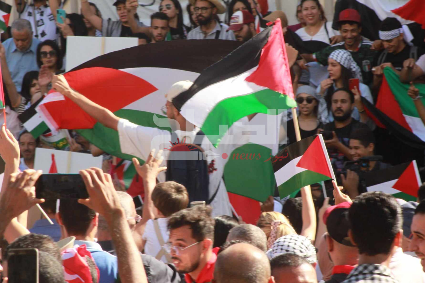 مسيرة حاشدة وسط العاصمة دعما لفلسطين