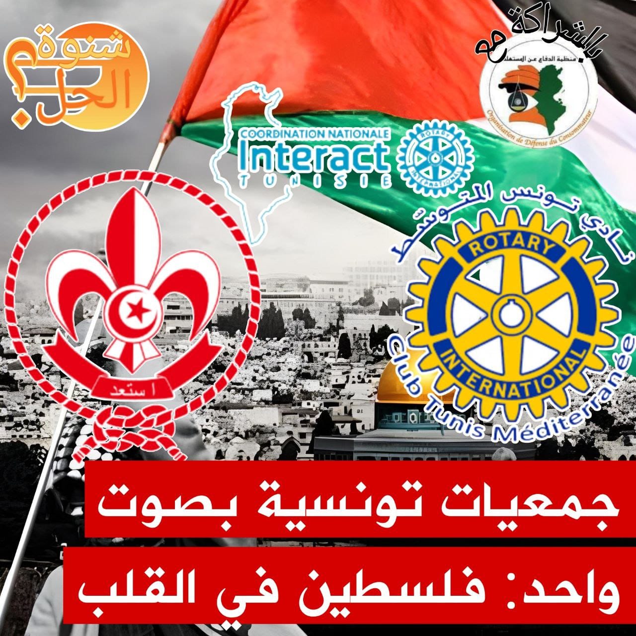 🔴 برنامج "شنوة الحل؟" يقدم حلقة خاصة بمجهود الجمعيات التونسية في توفير المساعدات للفلسطينيين في غزة