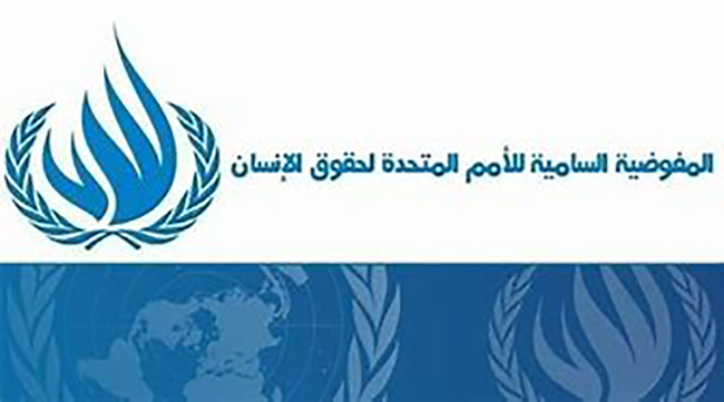المفوضية الأممية لحقوق الإنسان.. إسرائيل ارتكبت جرائم ضد الإنسانية بغزة