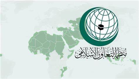 "التعاون الإسلامي" تُشيد بالإنزال الجوي لمساعدات أردنية في غزة