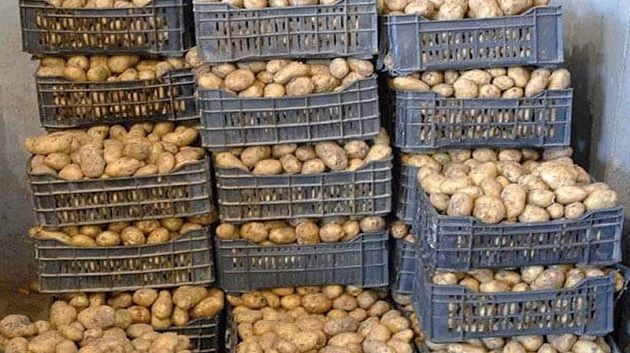 غار الملح.. الاحتفاظ بصاحب مخزن عشوائي للبطاطا  