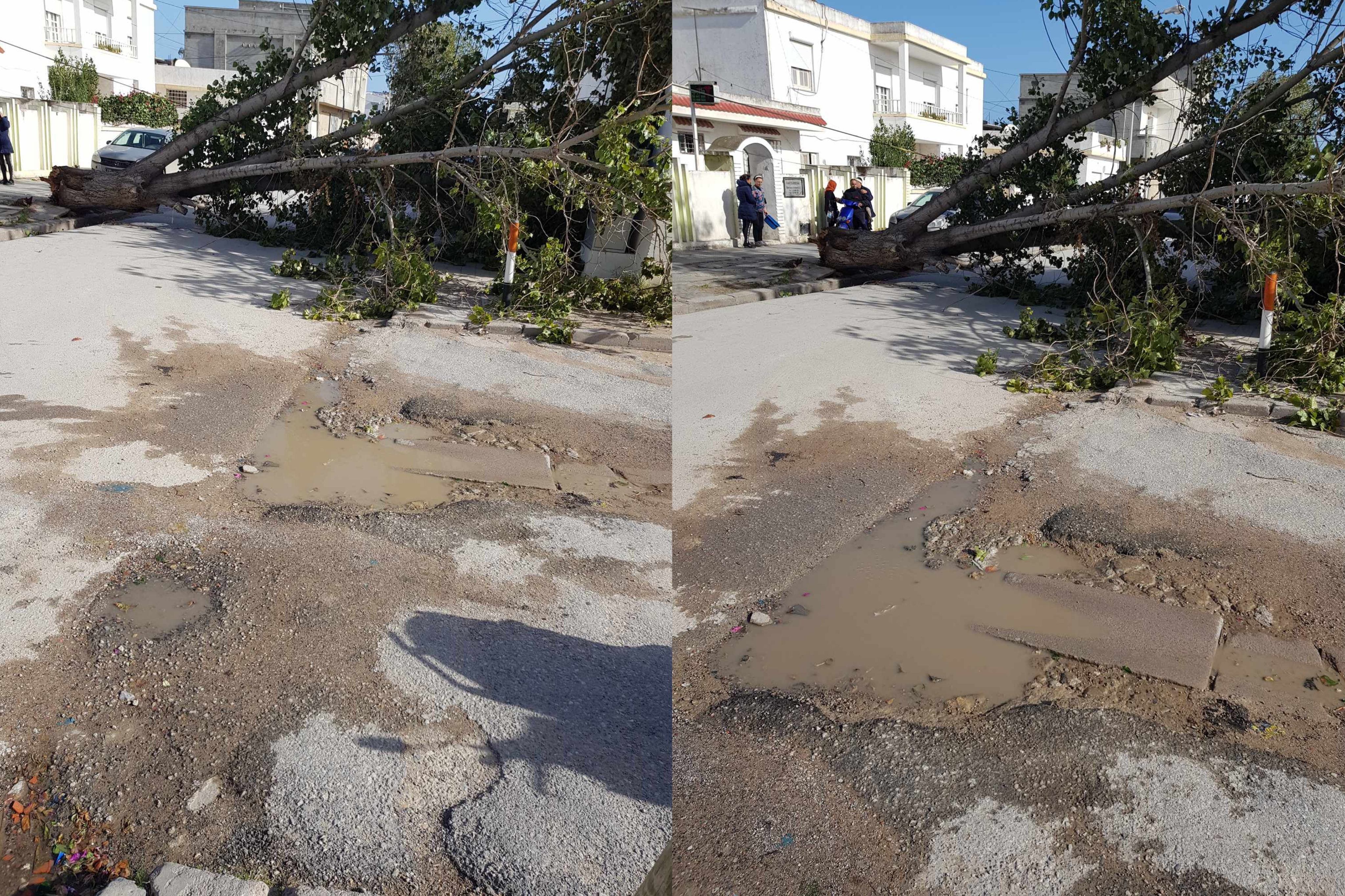  بنزرت.. الرياح القوية تعطل حركة المرور.. وعمل الموانئ!!؟