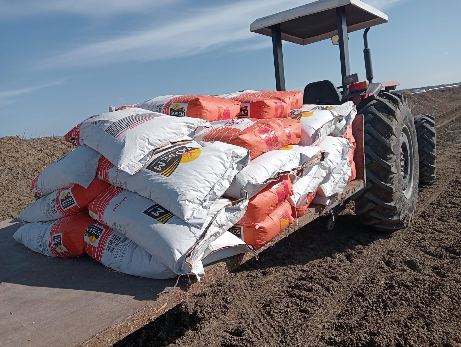 بفضل التساقطات الأخيرة..   بوادر انفراج للزارعات الكبرى.. والإشكال يشمل الخضروات والأشجار المثمرة