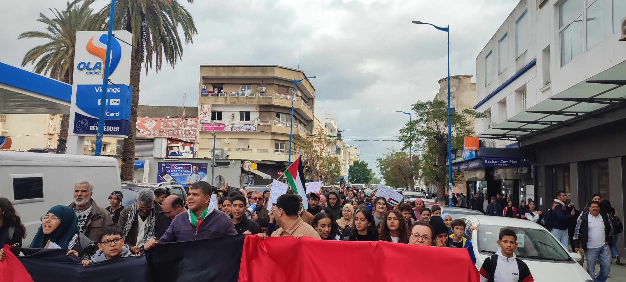 بنزرت: مسيرة حاشدة مساندة للشعب الفلسطيني  