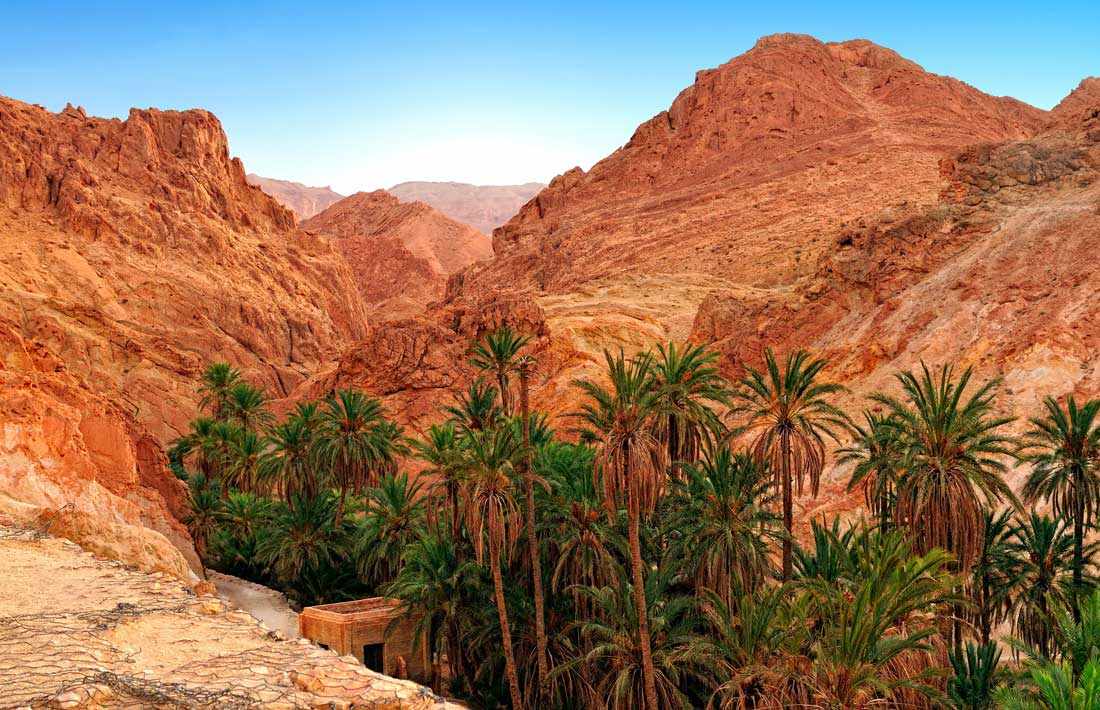 احداث محطة فلكية وحديقة جيولوجية..  نحو منتوج سياحي جديد بولايات الجنوب الشرقي