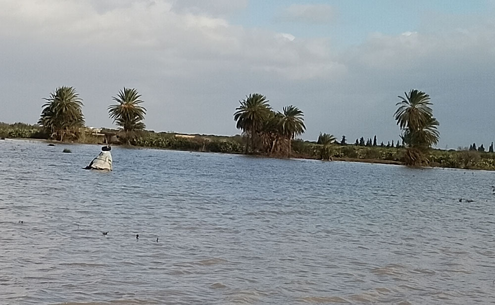  الكاتب العام للاتحاد الجهوي للفلاحة بالمهدية لـ