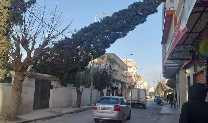 صور/  بسبب رياح قوية .. سقوط أشجار واعمدة كهربائية وجزء من بناية قديمة بسوق الصناعات التقليدية بنابل