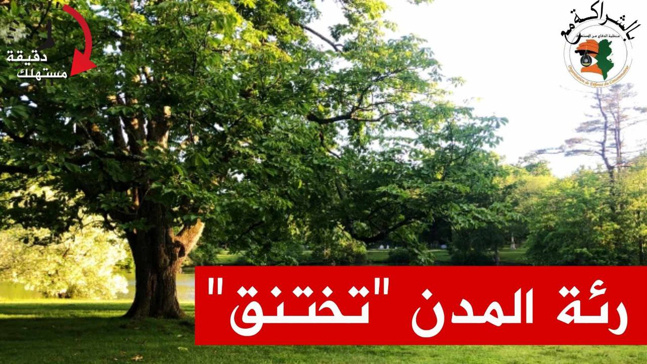  "دقيقة مستهلك" تطرح شكالية المناطق الخضراء في تونس واهمالها من قبل السلطات