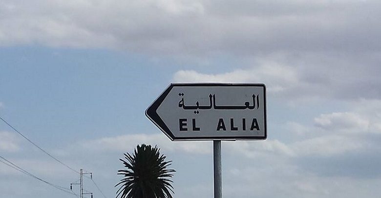 العالية: غلق مخبزة بعد حجز  3.8 طن من الفارينة المدعمة