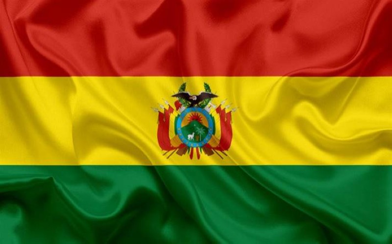 بوليفيا تعلن تأييدها لدعوى جنوب إفريقيا لمقاضاة إسرائيل 